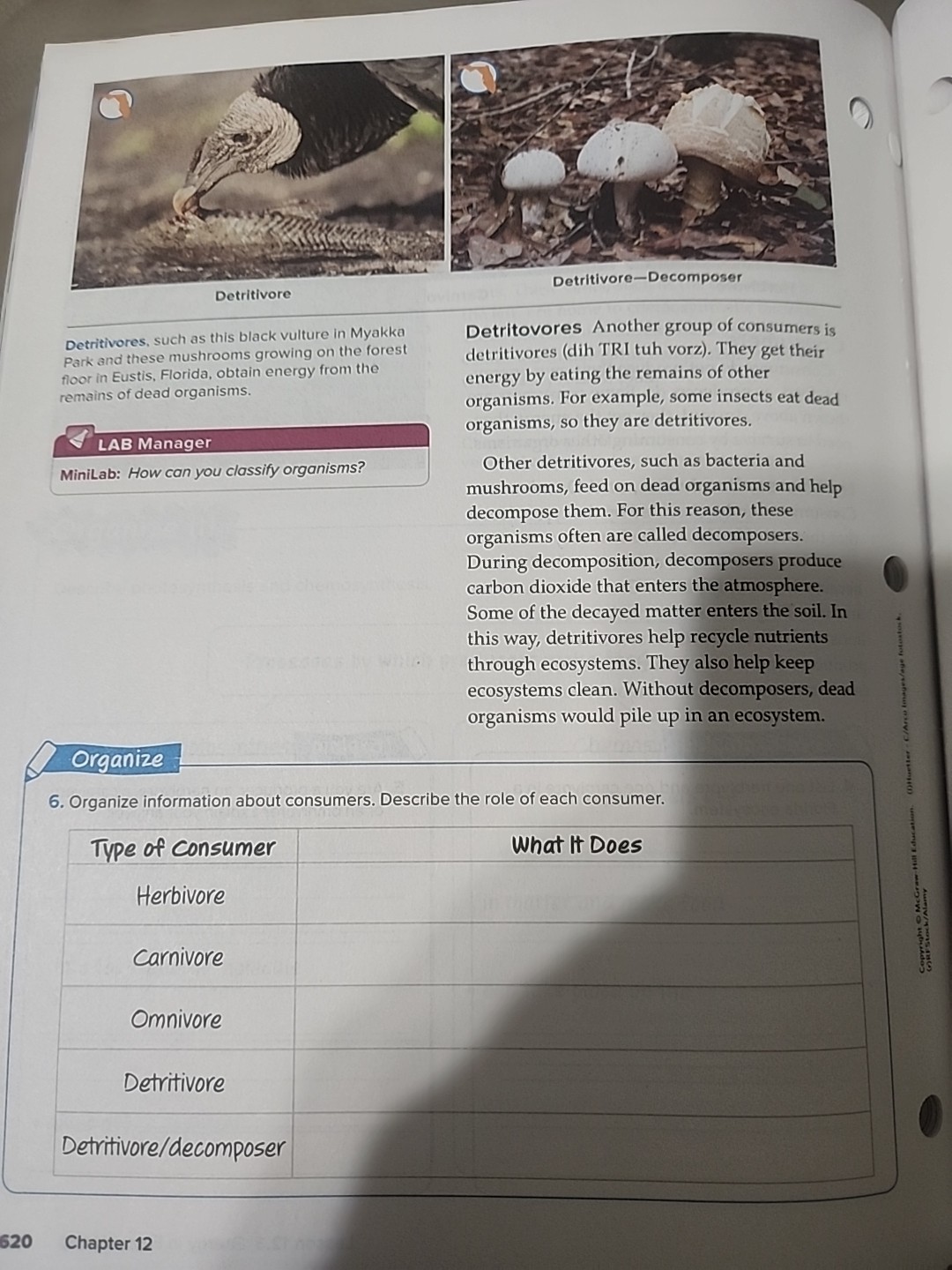 8th Grade 8 McGraw Hill Florida Science Comprehensive Course 3 Student Bundle