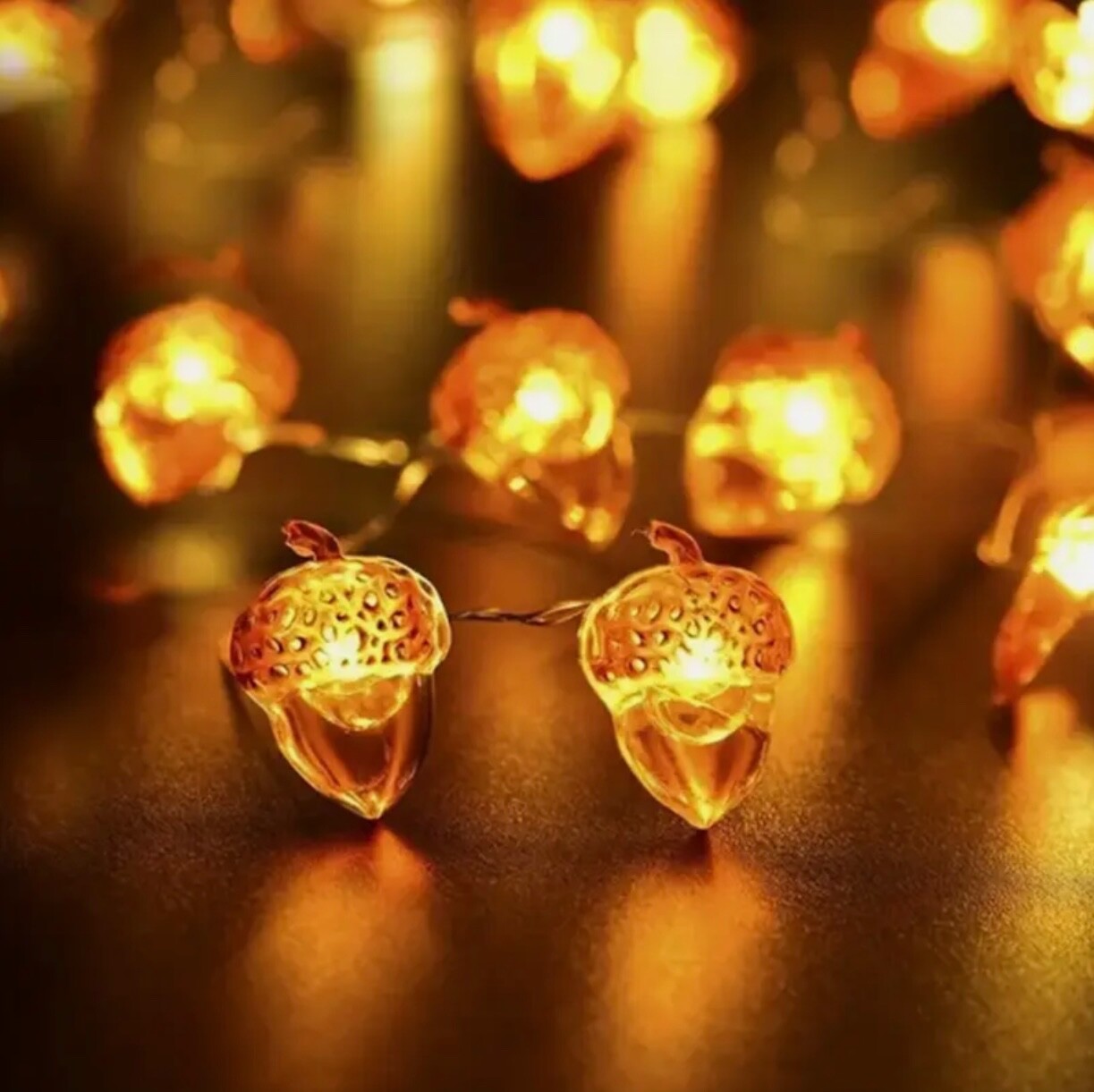 6.5 Feet Acorn String Novelty Fairy Lights Autumn Garland New