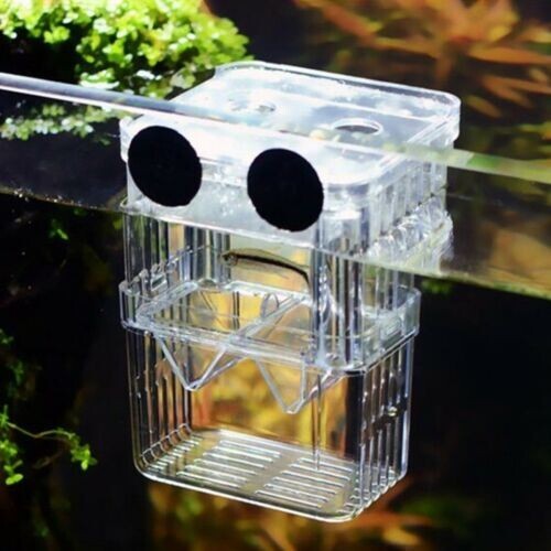 Aquarium Fish Tank Breeding Breeder Rearing Box Hatchery Isolation Case, Small