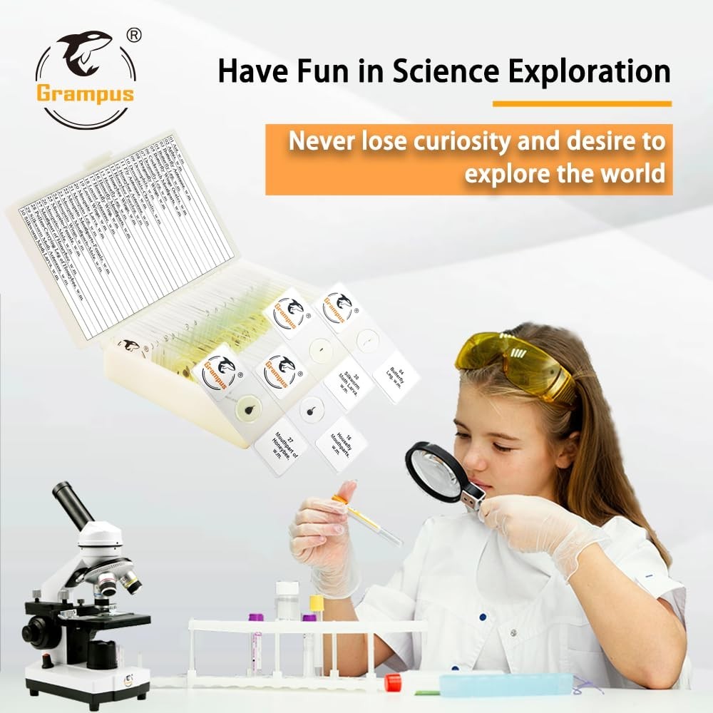 30pcs Optically Cleared Insect Microscope Slides - Safe for Kids and School Labs