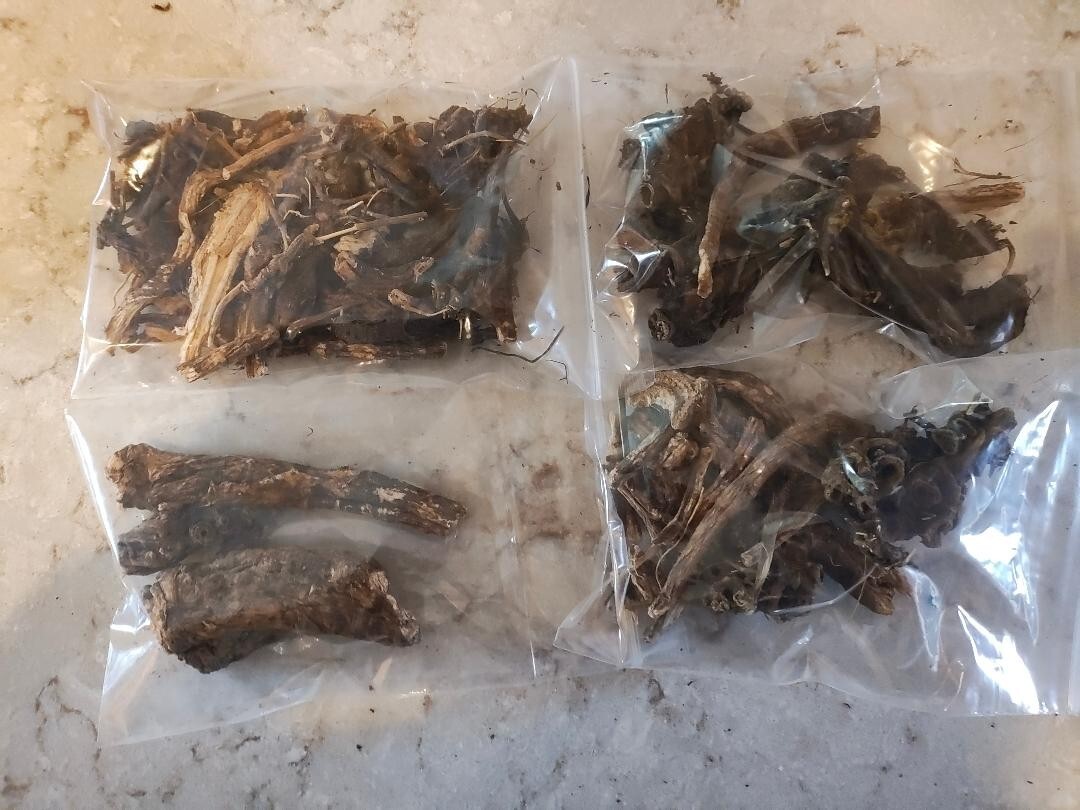 1 oz. Osha Root Whole (Ligusticum Porteri) Wildcrafted