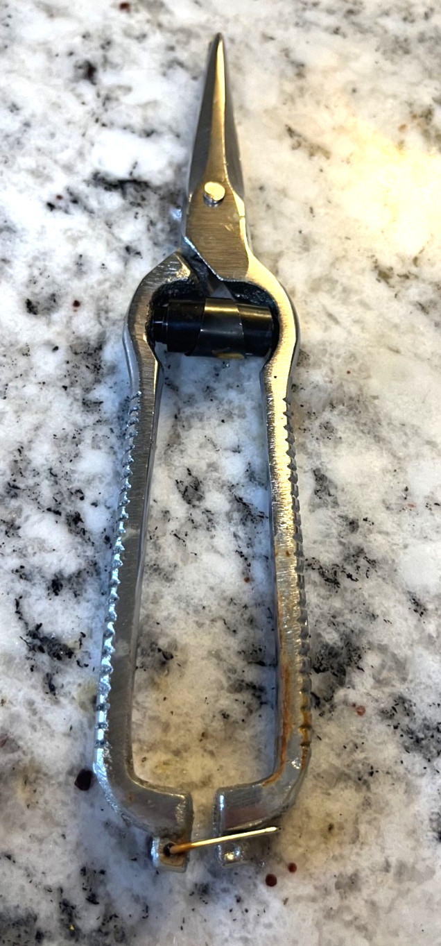 7-1/4" Stainless Steel Lobster Shears Seafood Scissors Tijeras Langostas Vintage