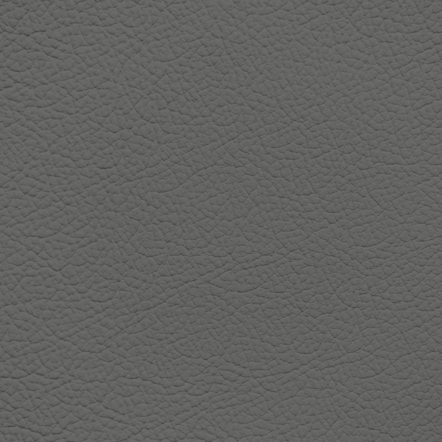 Audi Rock Grey Leather Dye