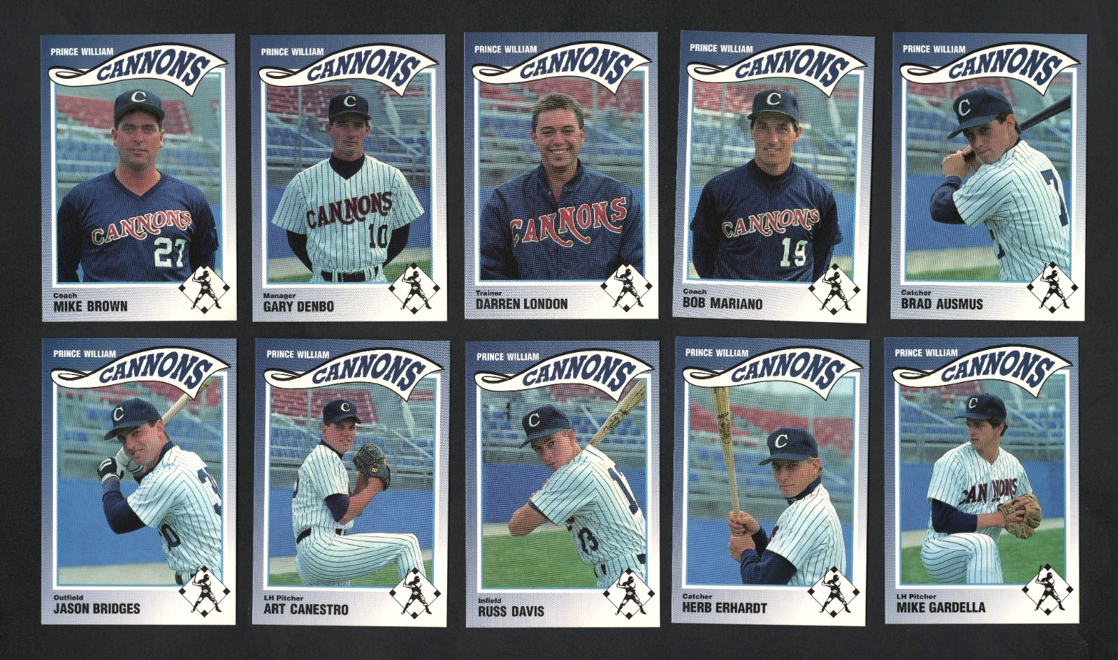 1990 Prince William Cannons Minor League Baseball Team Set  #TS542