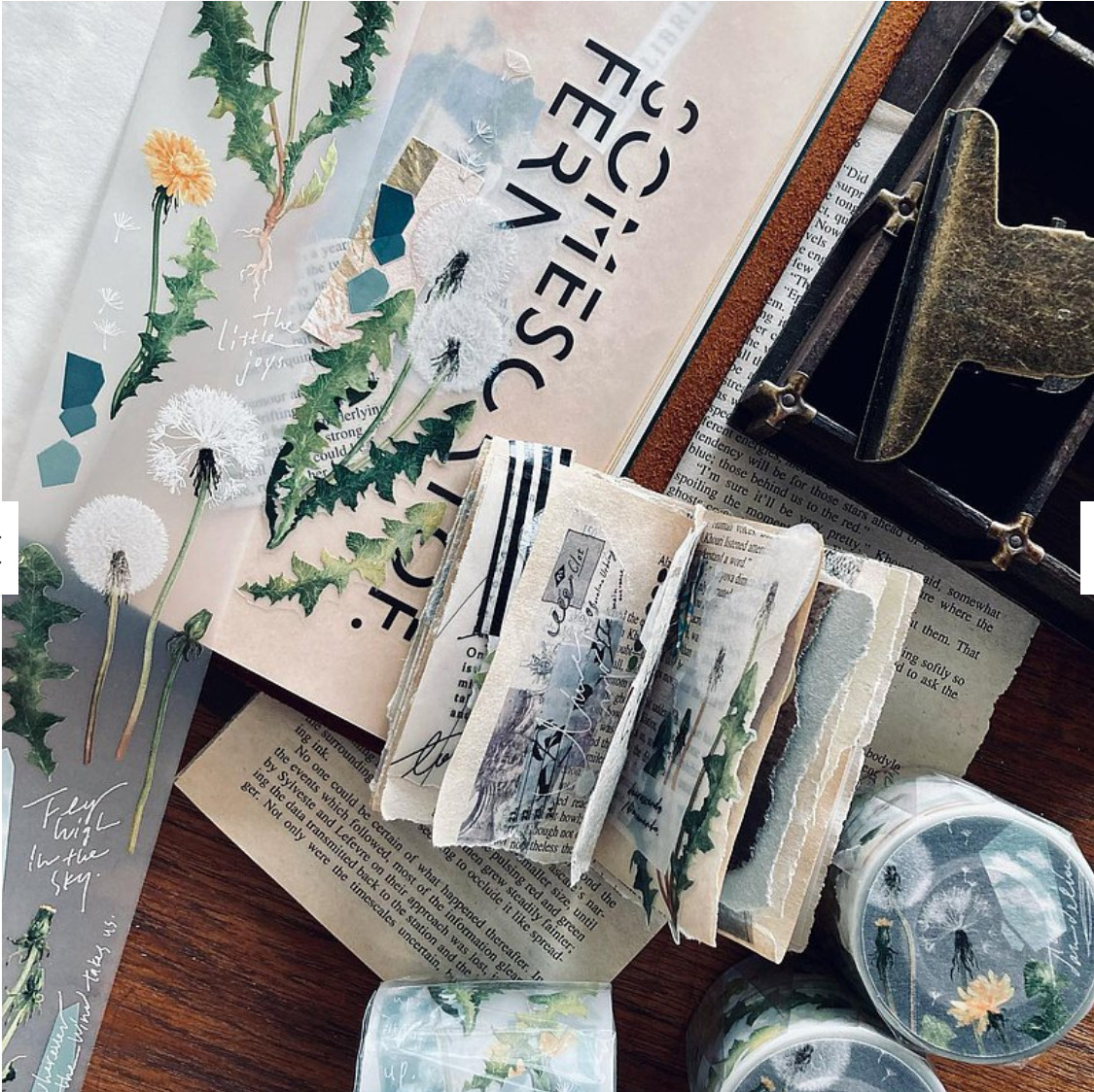 somesortof.fern Dandelion Matte PET Tape SAMPLE LOOP