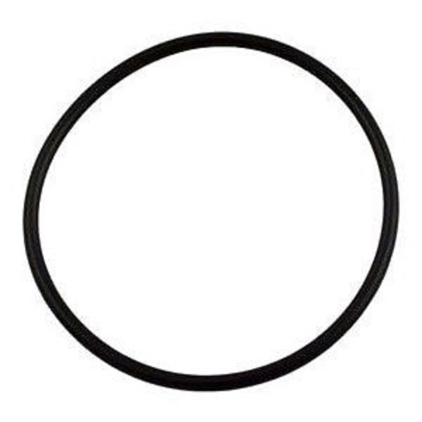 Pentair Intelliflo WhisperFlo Pinnicle Pump Lid O-Ring Part 350013