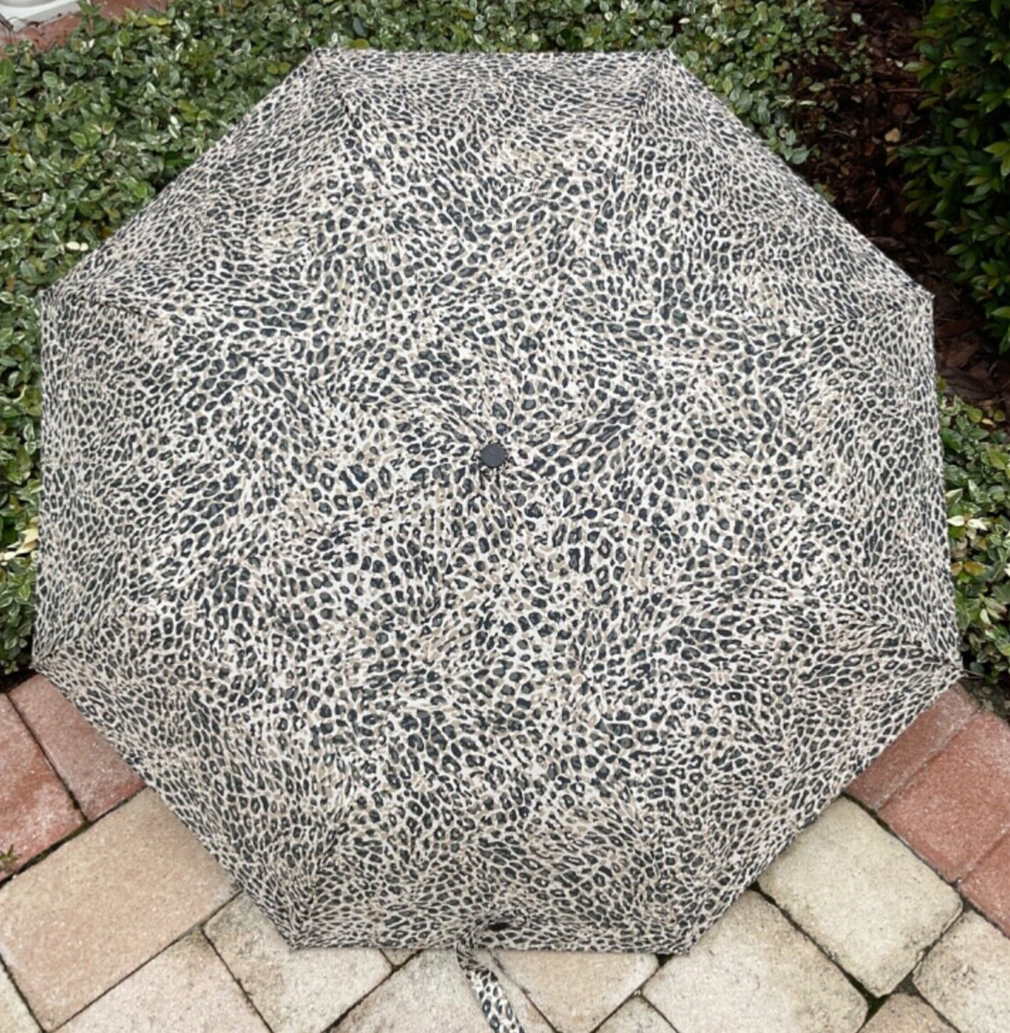 JONES NEW YORK WOMEN'S UMBRELLA  ANIMAL PRINT LEOPARD AUTOMATIC OPEN NWT