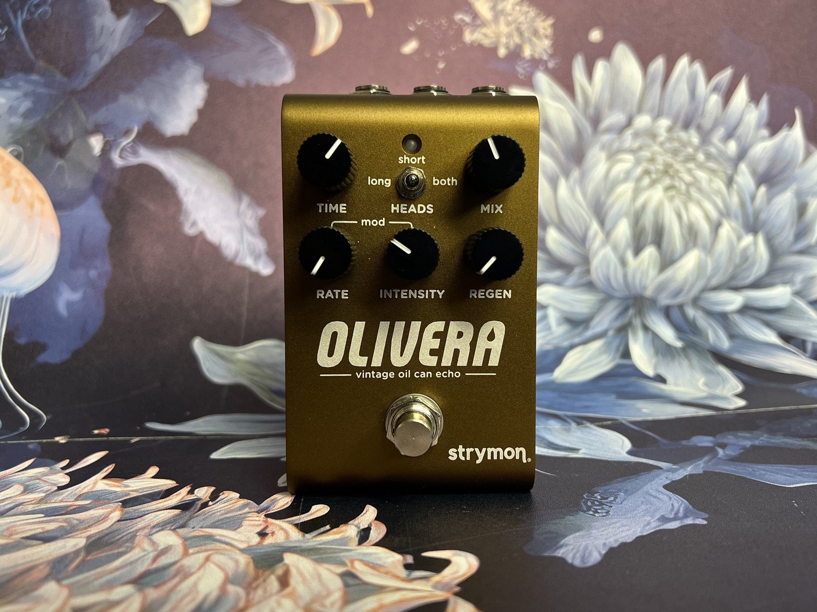 Strymon Olivera Used