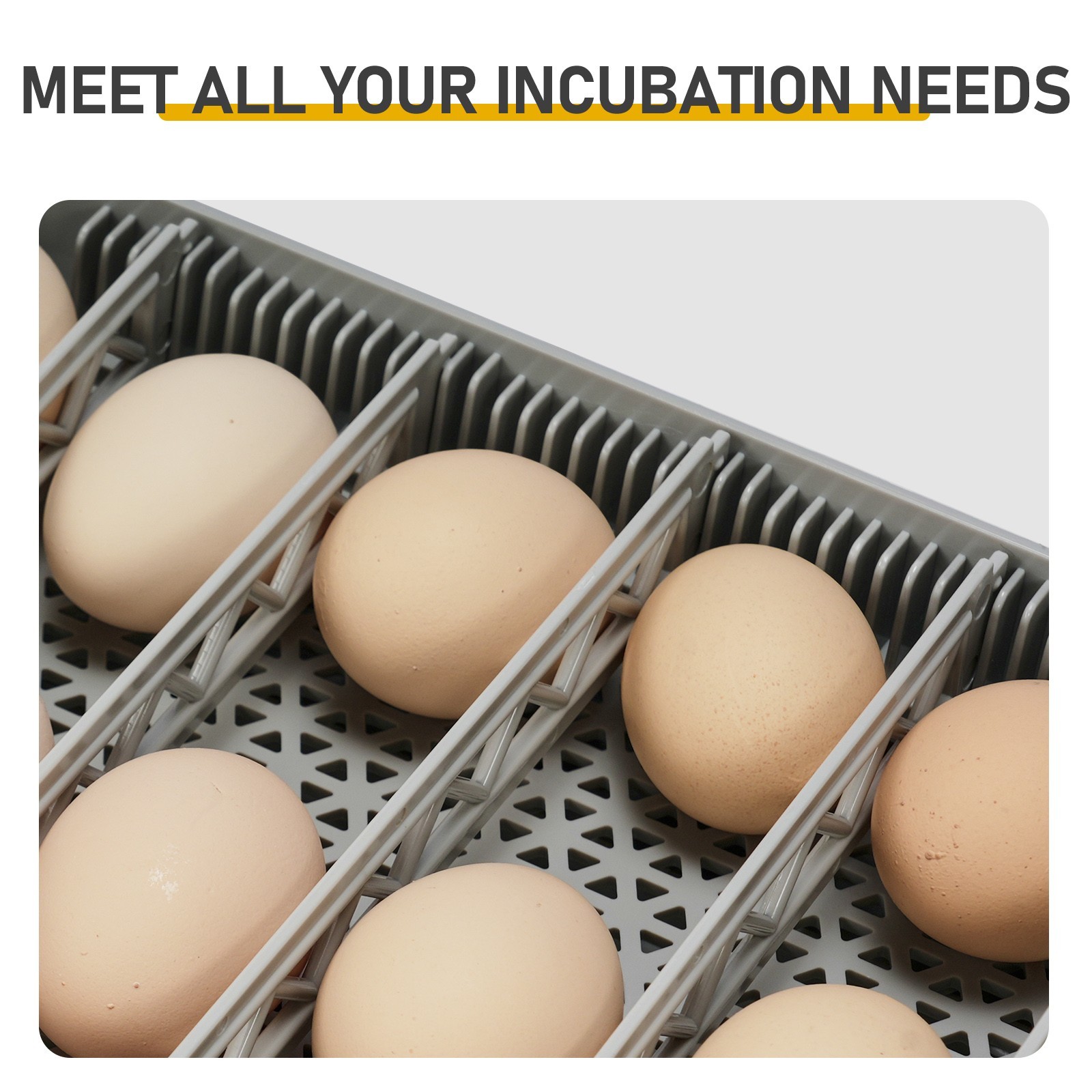48 Egg Incubator with Automatic Egg Turning Egg Hatching Temp & Humidity Contrr3
