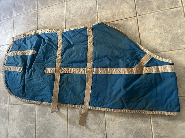 Turnout BLANKET sz Pony/Small Horse 68" Royal Blue w/Tan Trim VGC