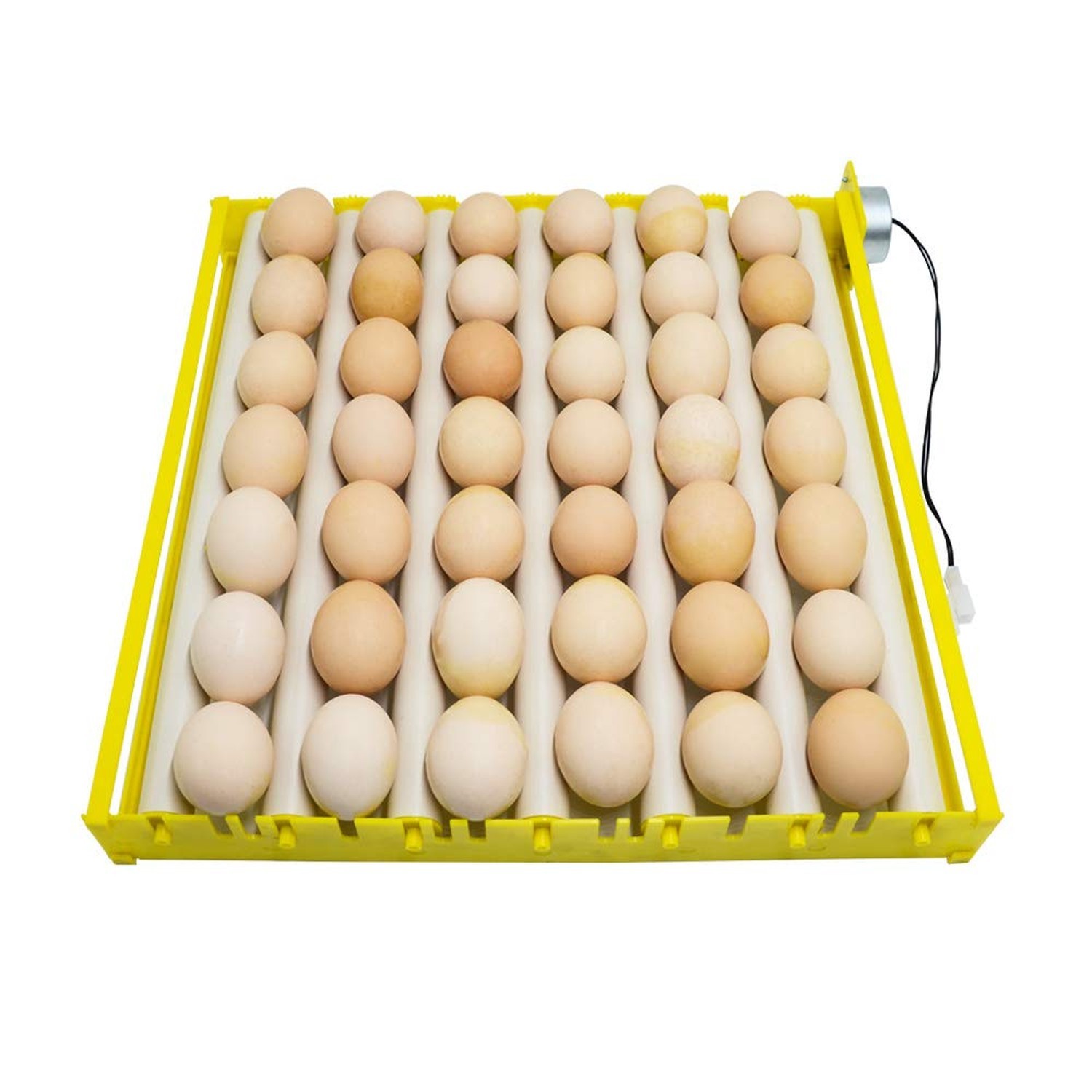 HBtree Automatic Multifunction Incubator Egg Tray Turning Hatcher for Chicken...