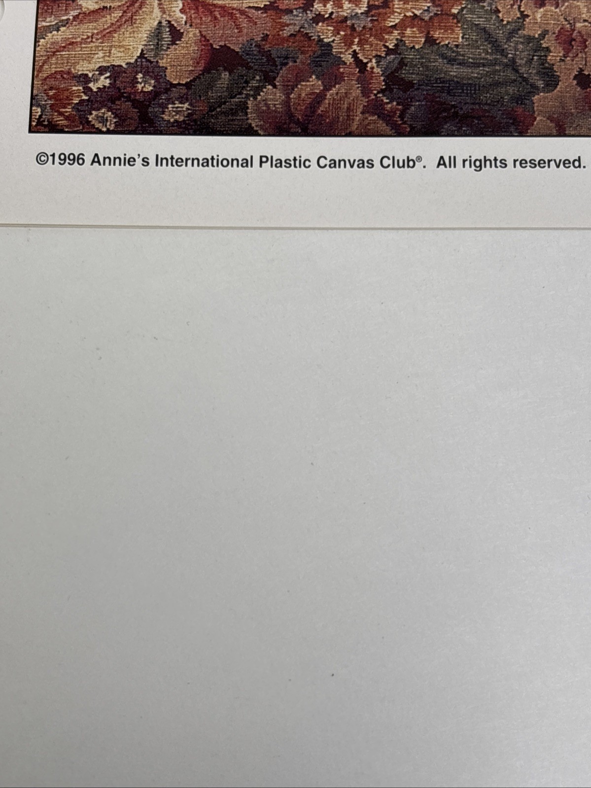 Bluebird Welcome Annie's Attic Plastic Canvas Pattern Page