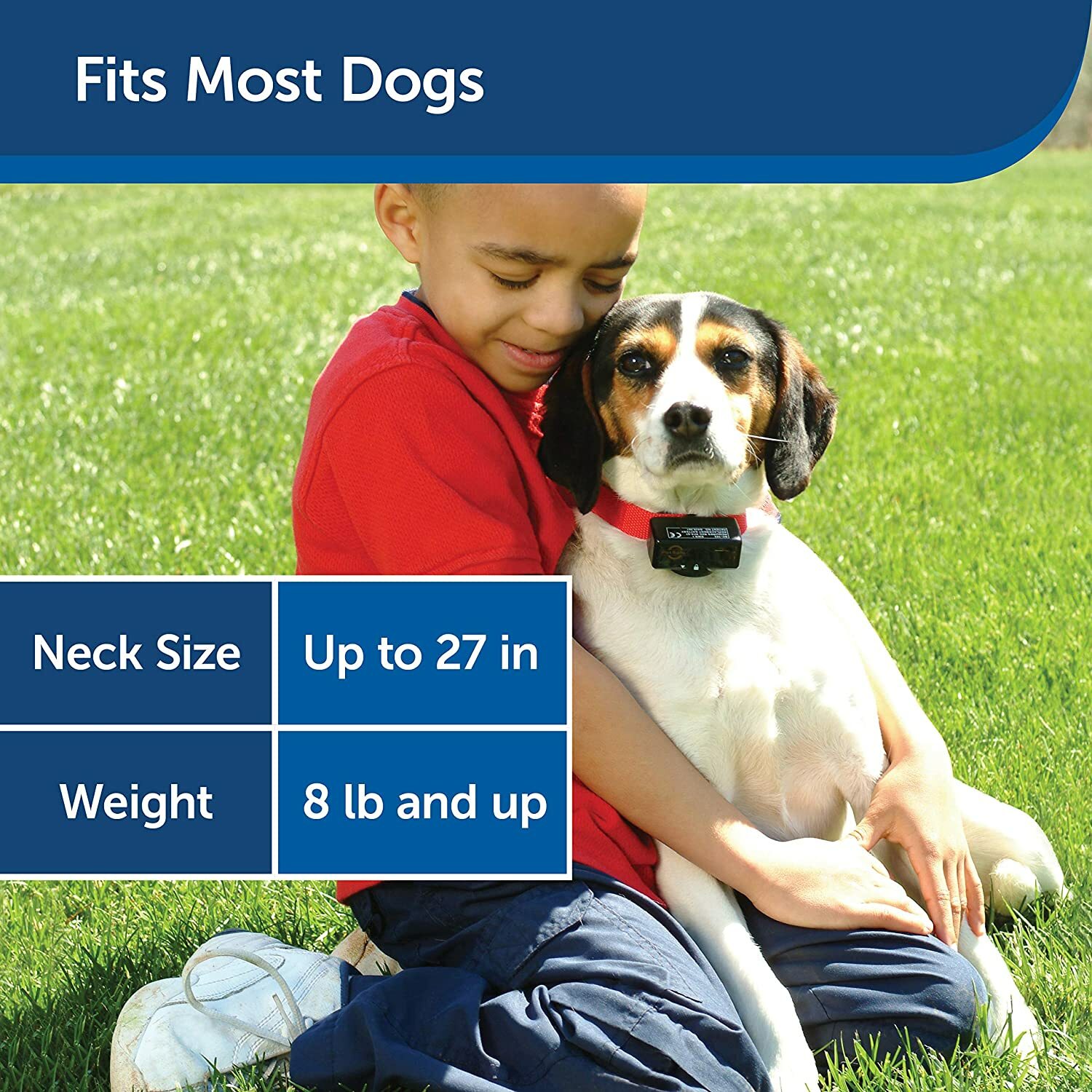 PetSafe Dog Stop Bark Shock Static Automatic Collar Training Pet Trainer Medium
