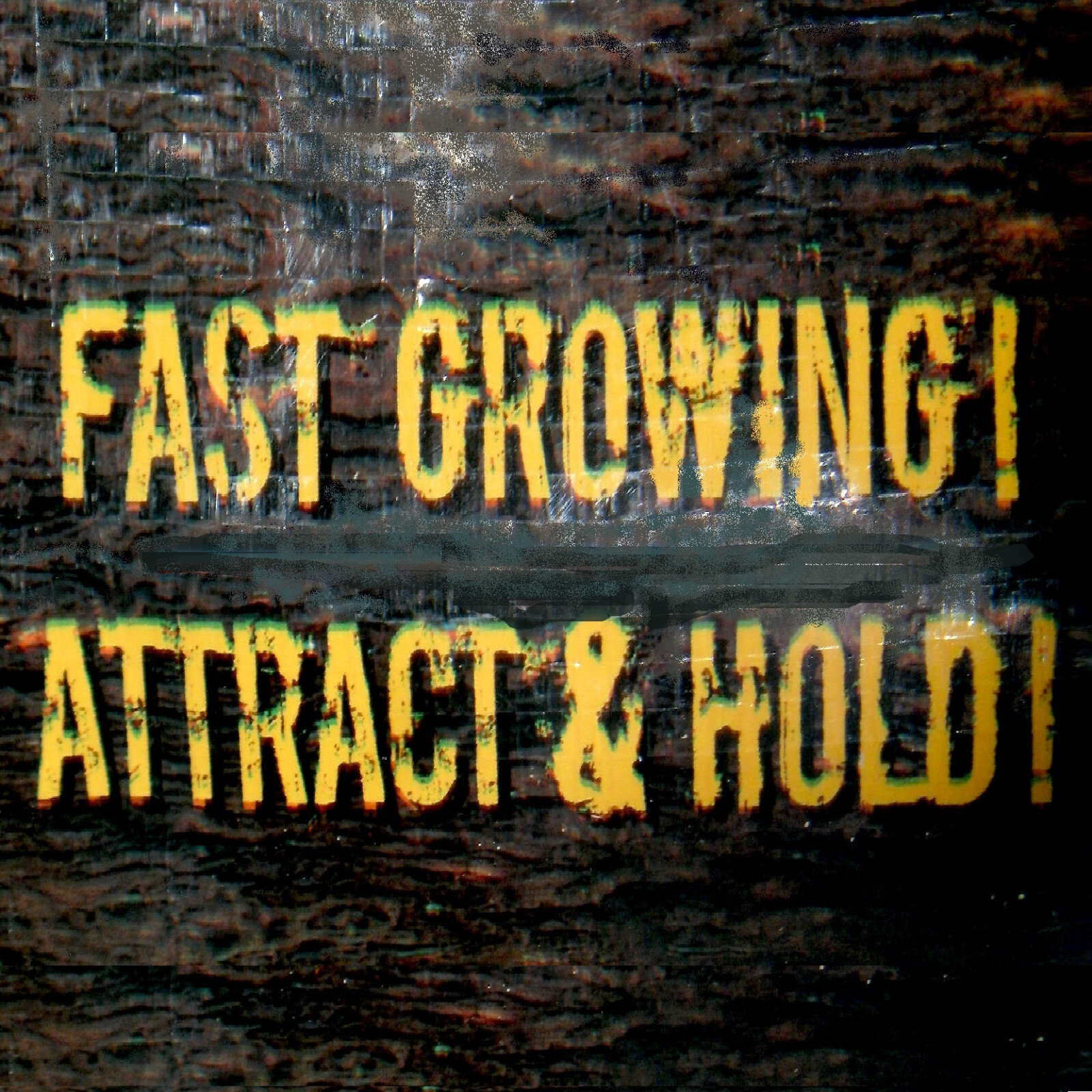 BULK BAGS EVOLVED HARVEST HUNTER SERIES MEGA PLOT DEER FORAGE FOOD PLOT SEED