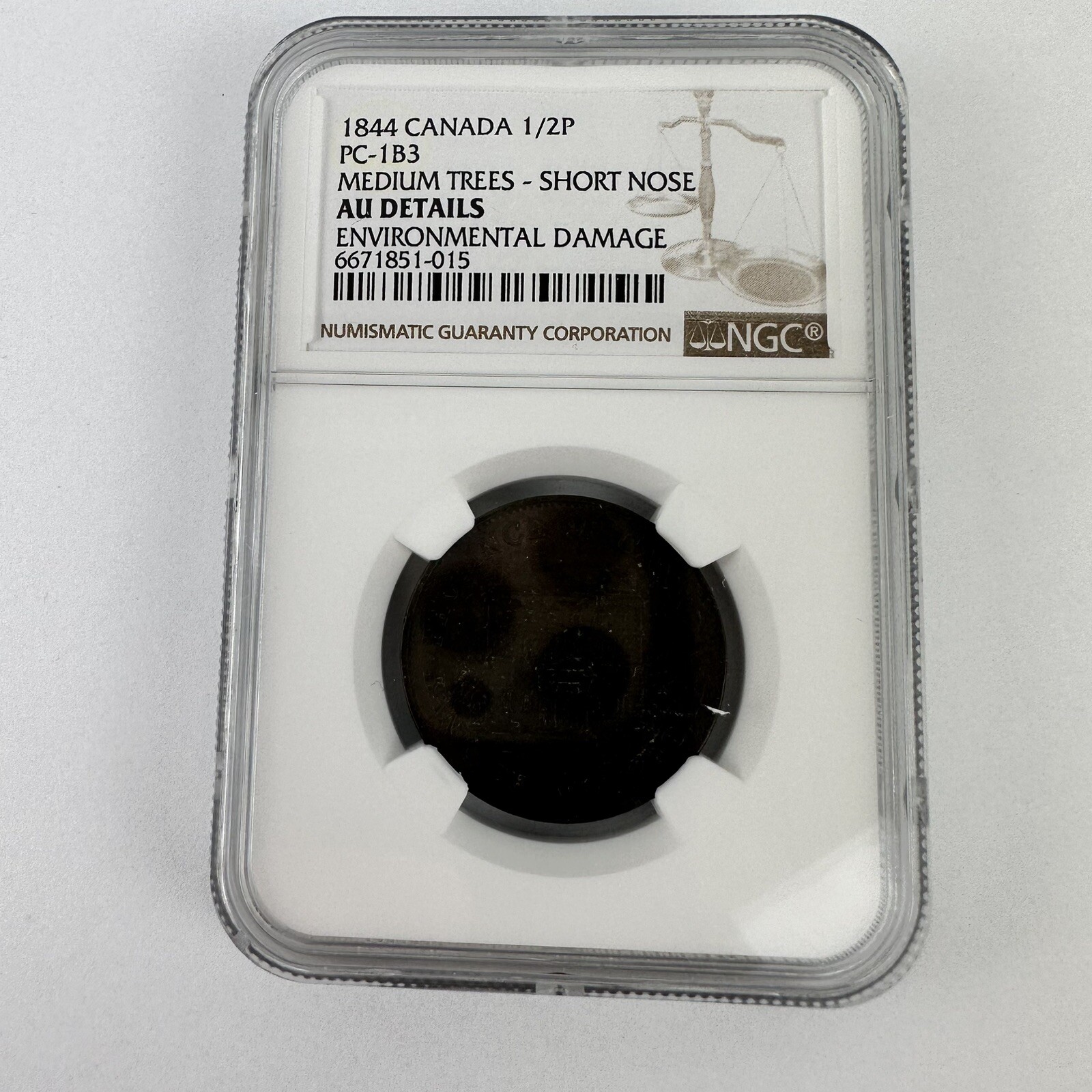 1844 Canada 1/2P Halfpenny PC-1B3 Medium Trees AU Details Env Dam NGC Graded