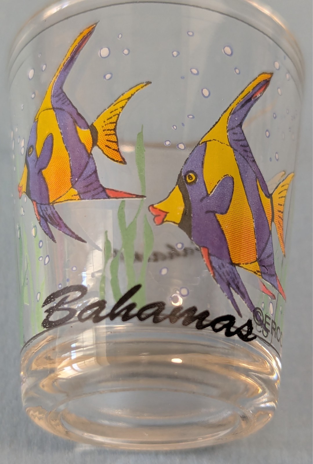 Shot Glass – Clear Glass – Bahamas Angel Fish