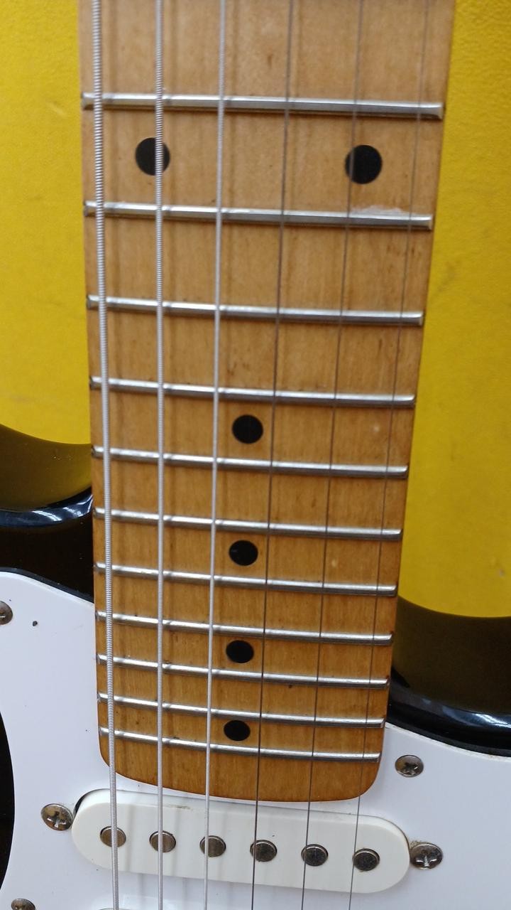 FENDER JAPAN MST-35 (NO251005)