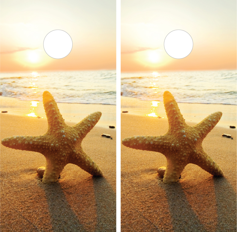Beach Ocean Starfish Cornhole Board Decal Wrap Wraps