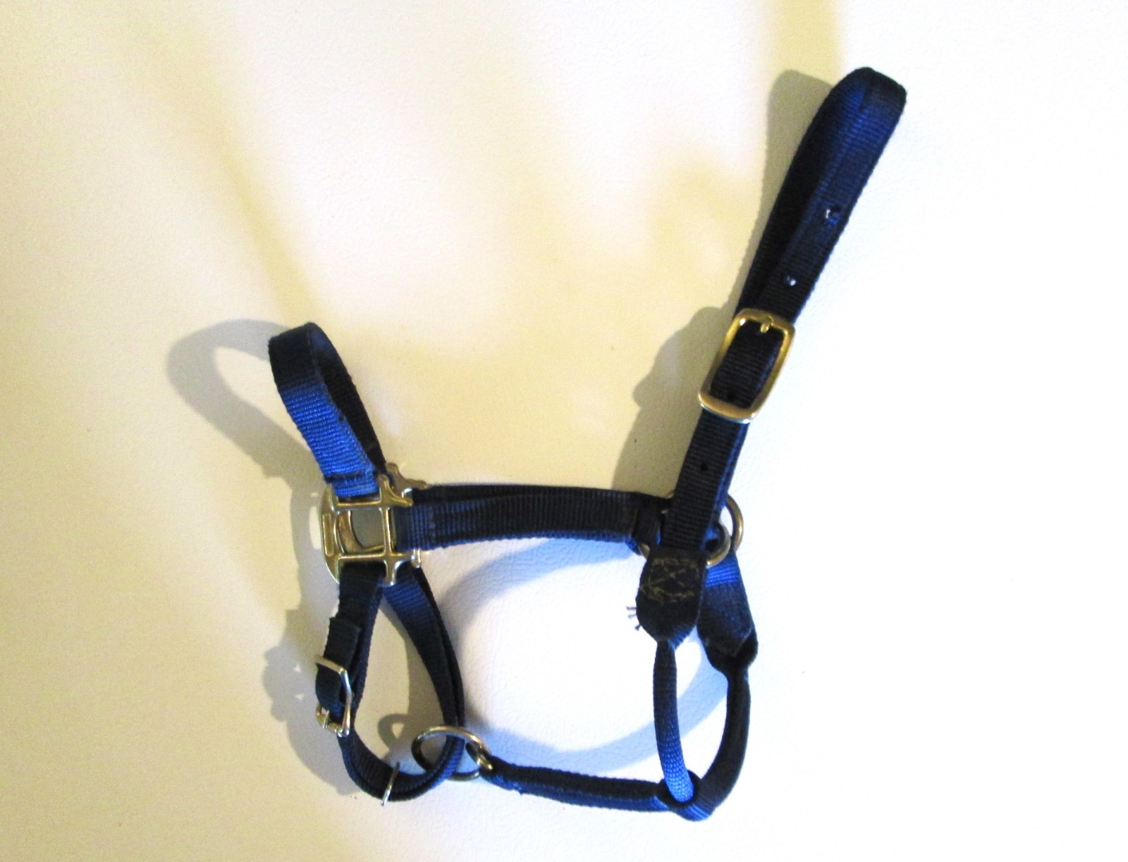 Nice Flexible Pony Halter Blue Nylon Western English Small Horse Youth Kid