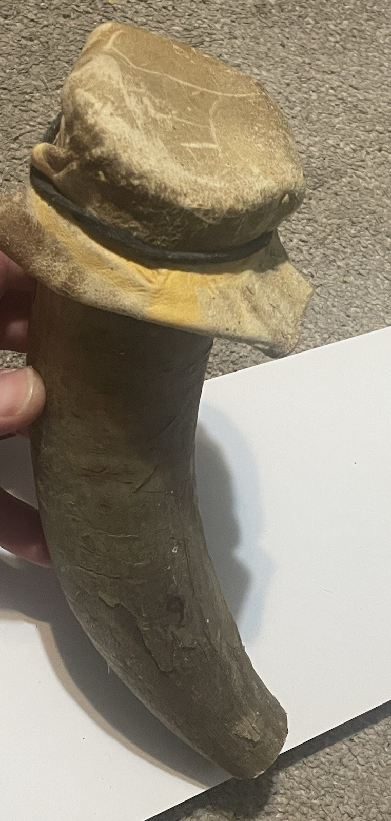Gun Powder Horn Holder With Leather Strap
