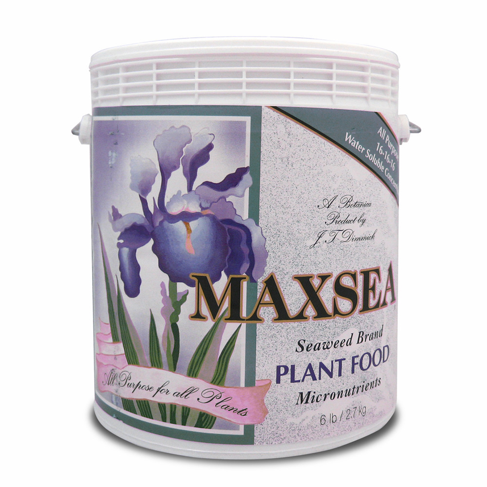 Maxsea All Purpose 16-16-16 Plant Food 6 lbs - water soluble seaweed grow
