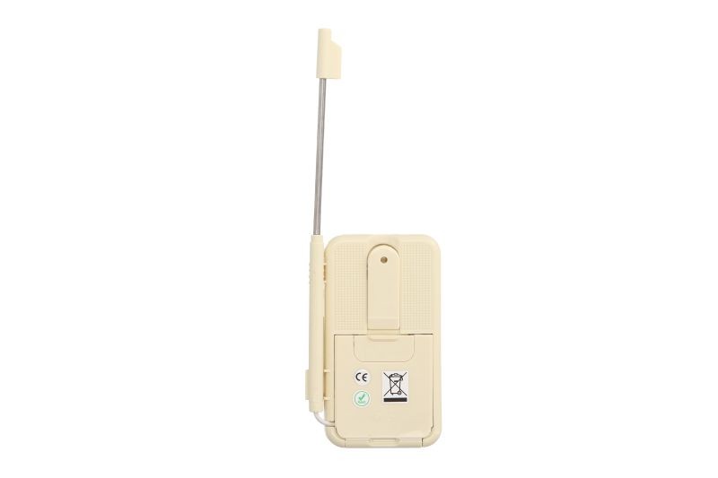 Thermometer