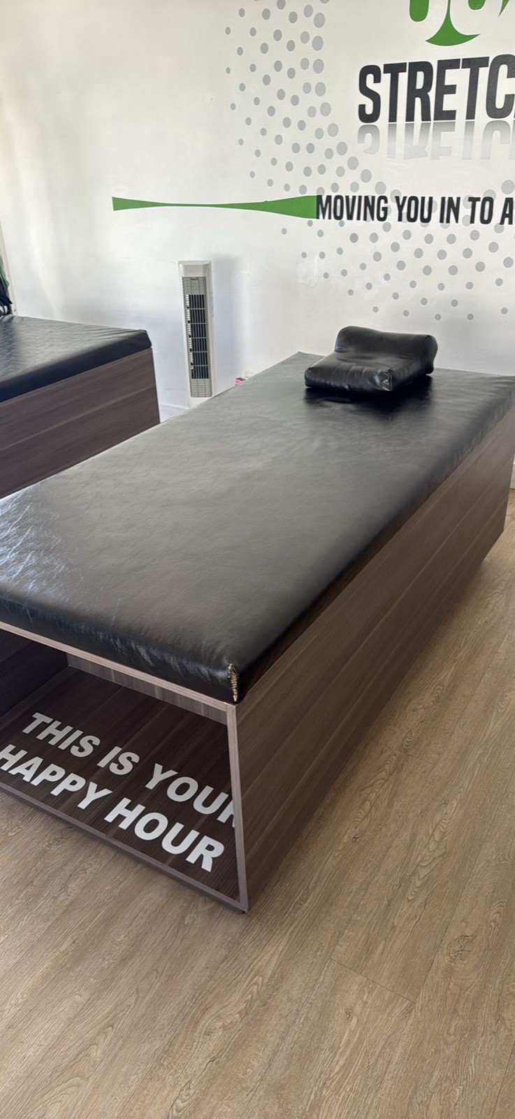 Massage Bed Salon Bed Physical Therapy Bed Spa Tattoo Massage Table Stationary