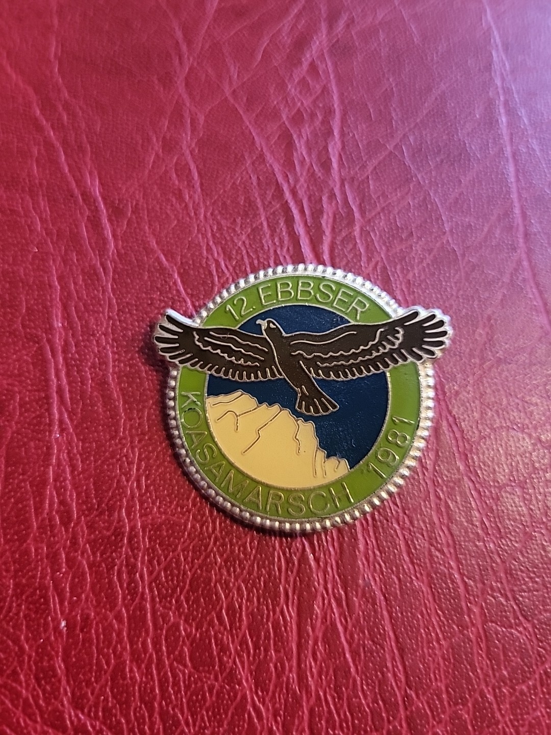 Pin Hatpin Hiking Pin Brooch 12th Ebbser Koasamarsch 1981