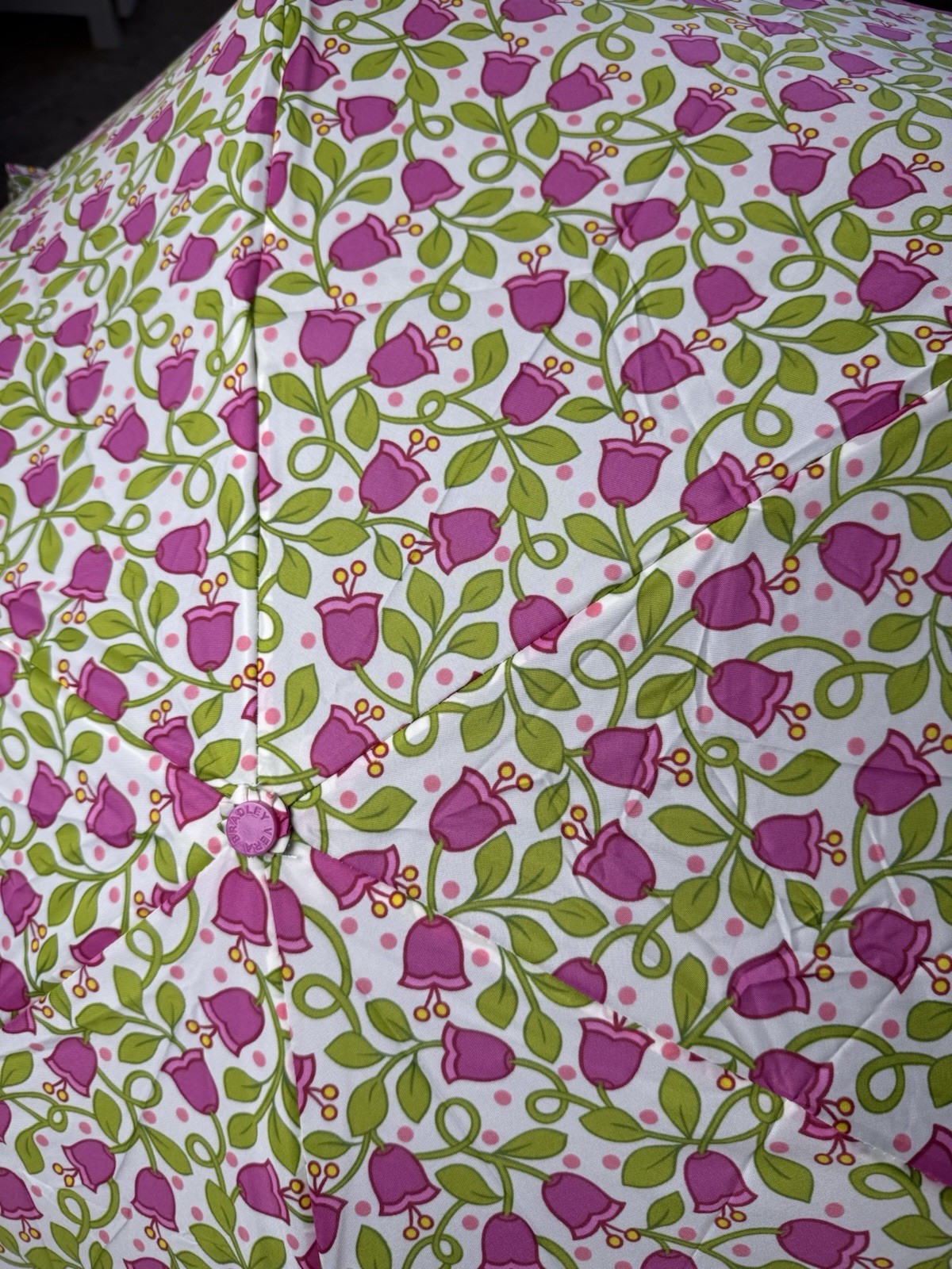 Vera Bradley Lilli Bell Automatic Umbrella RETIRED Rare ❤️💖