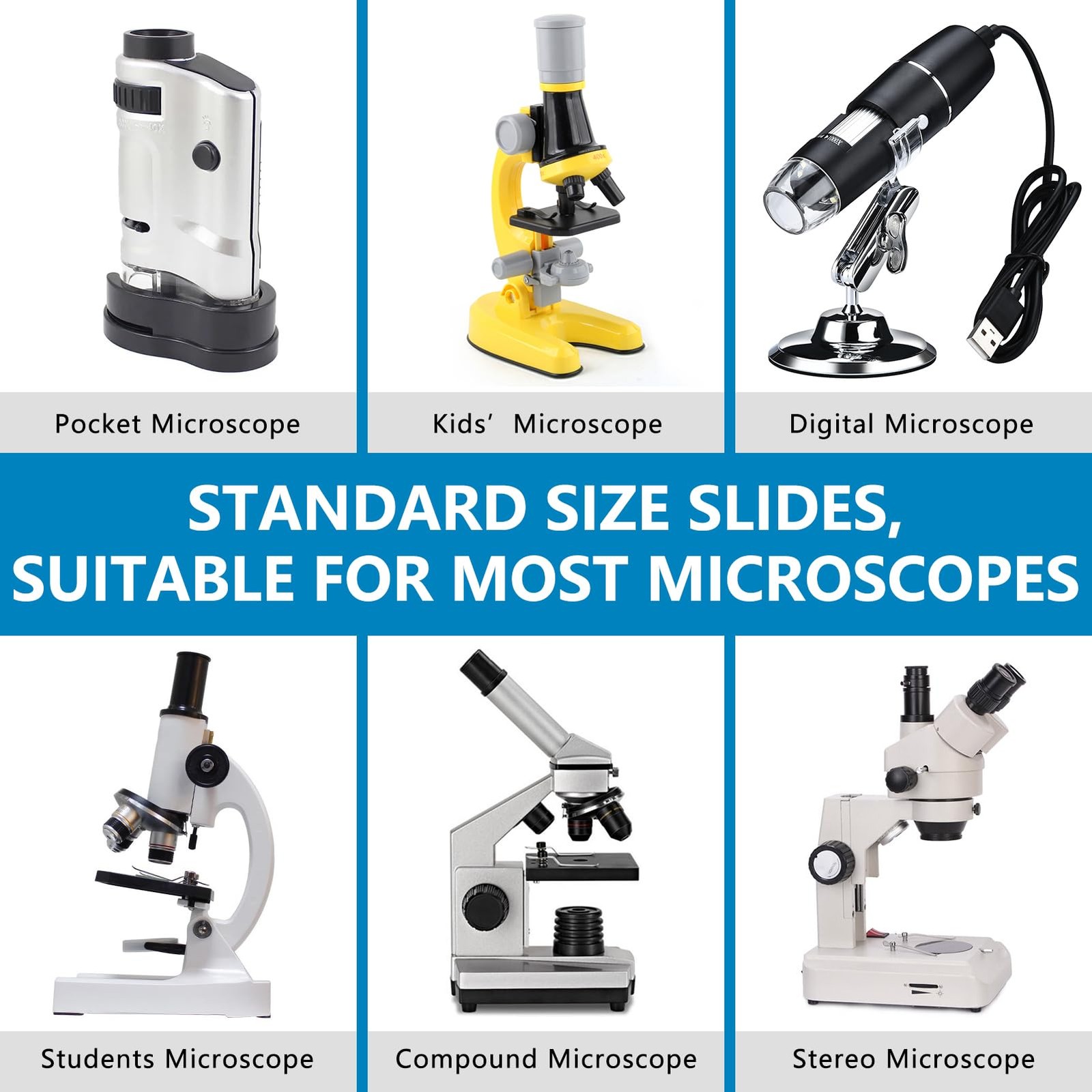 Microscope Slides with Specimens for , 60 Lab-Prepared Microscope Slides, Ani...