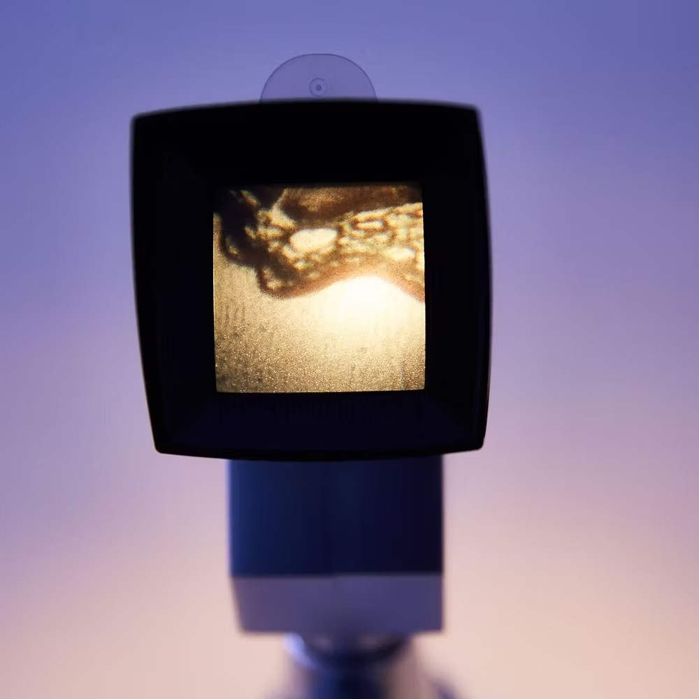 Kids Microscope with many uses: education, fun, and more!