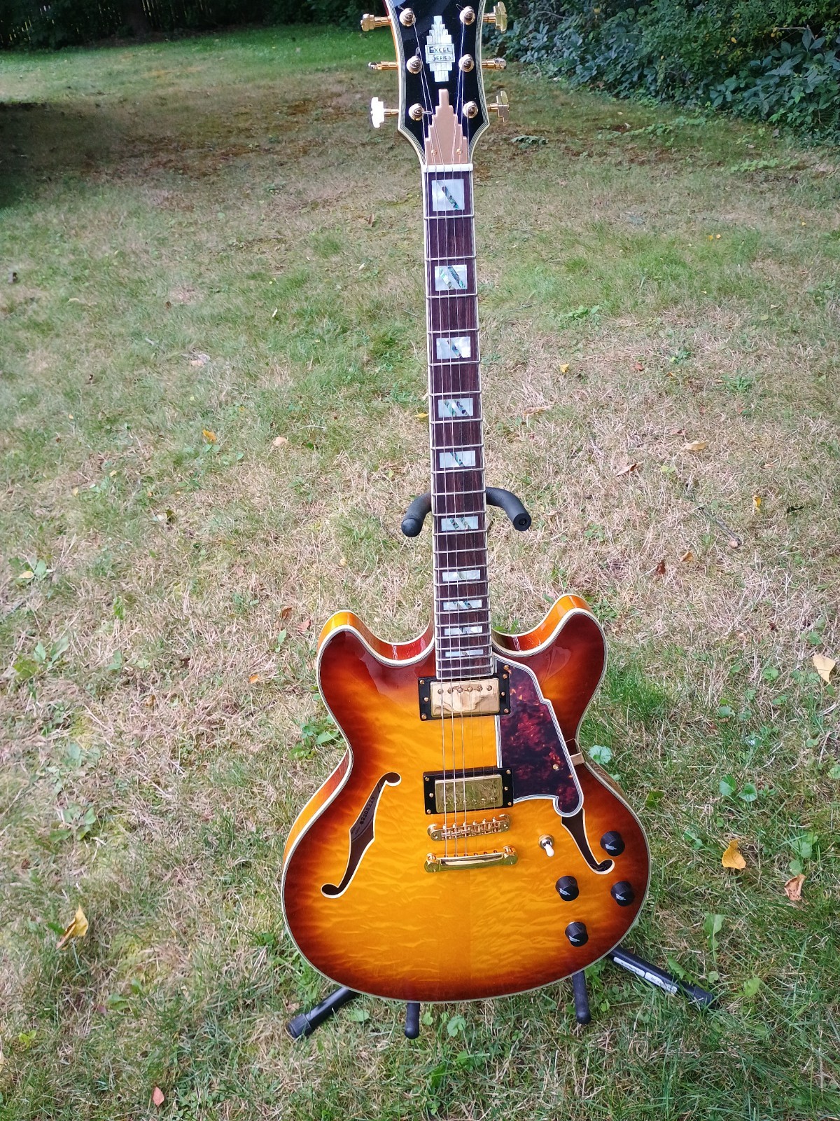 Dangelico Excel DC Mint Condition with Original Hard Shell Case