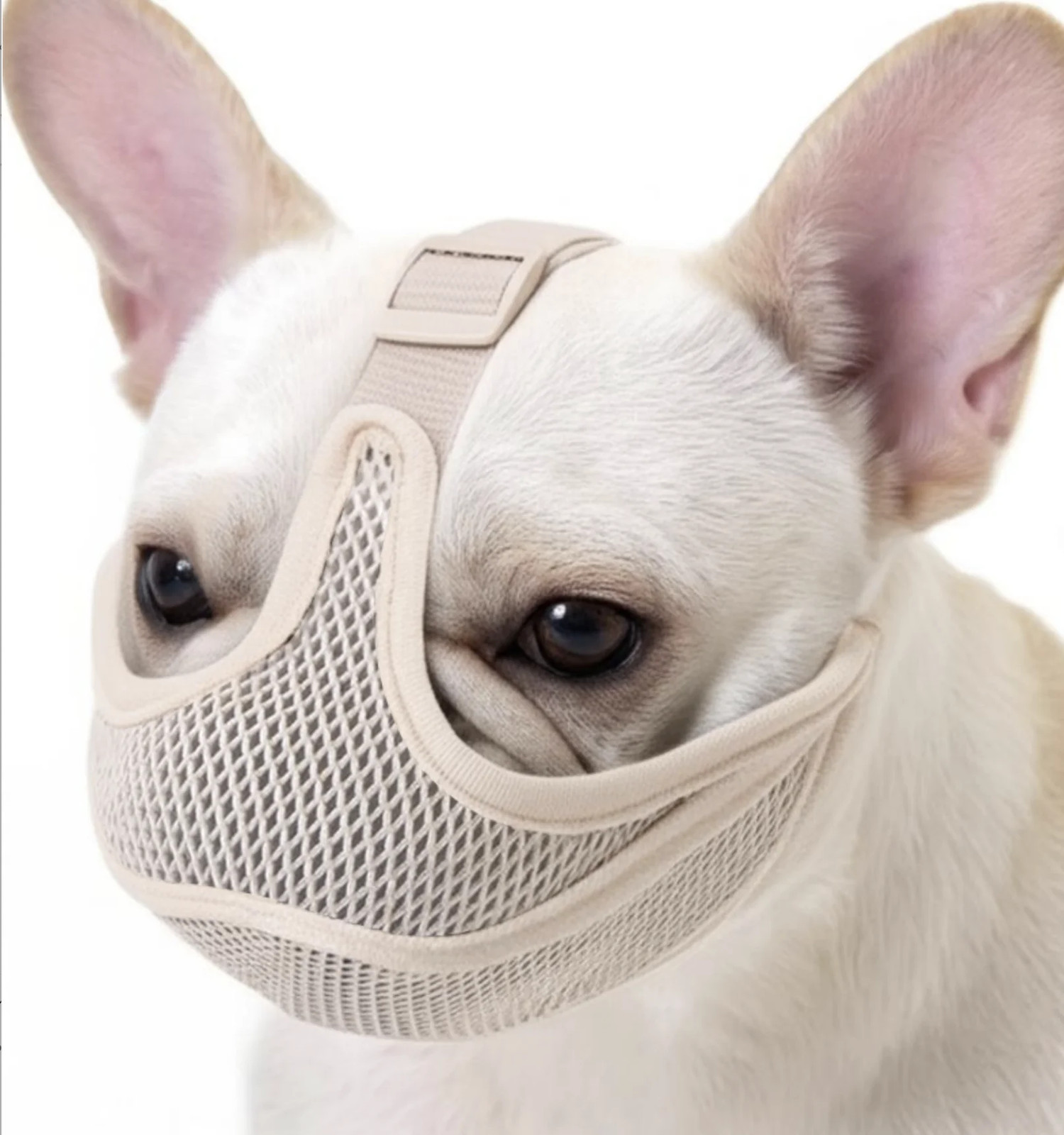 Short-nosed Dog Muzzles Mesh Breathable Prevent Random Eating Adjustable Small A