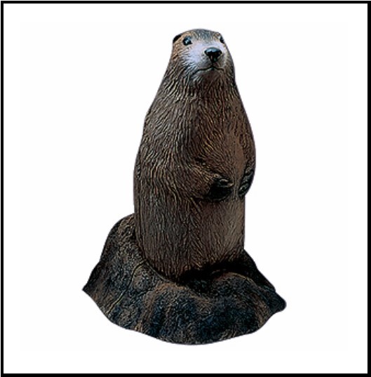 Delta McKenzie Backyard 3D Woodchuck