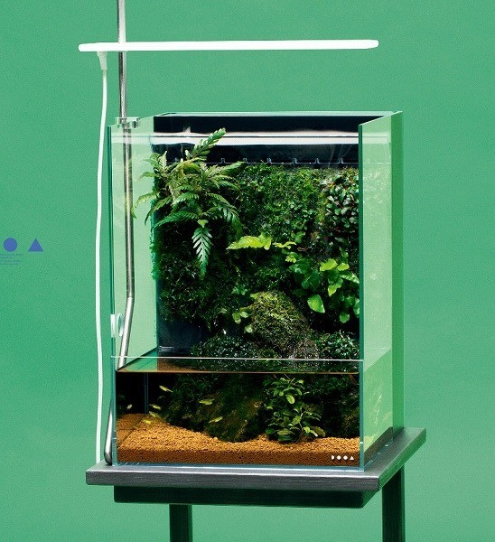 ADA DOOA Aqua Design Amano System Terra 30 Mistflow Set