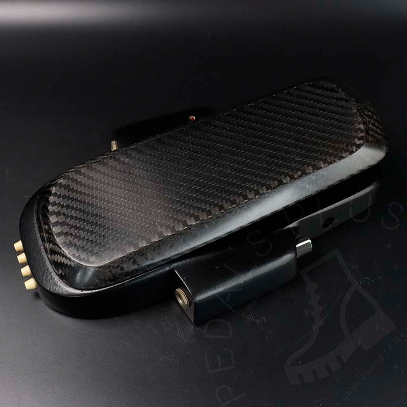 Roger Mayer Vision Wah