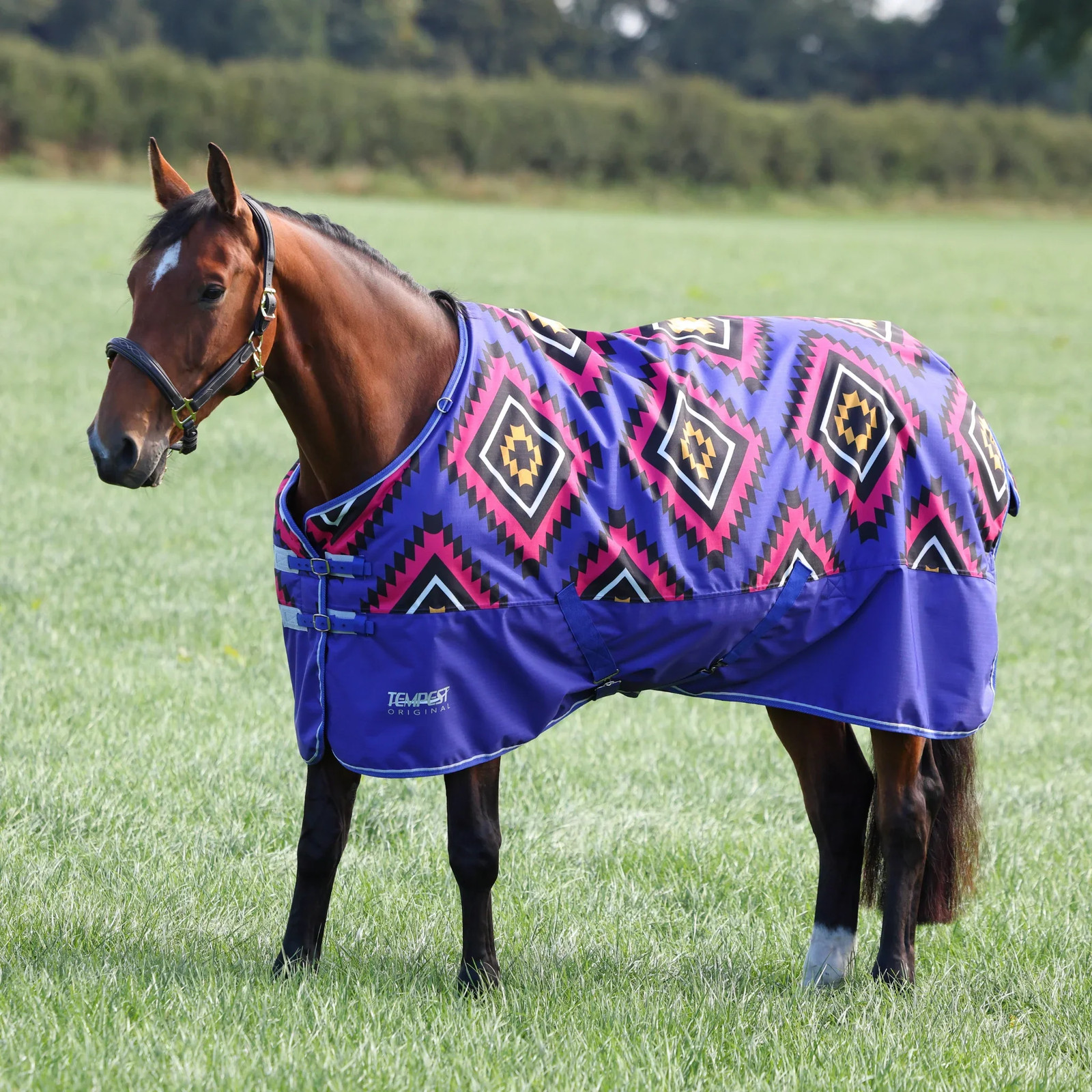Shires Tempest Original 200 Turnout Blanket - 200g Medium Weight Horse Rug -