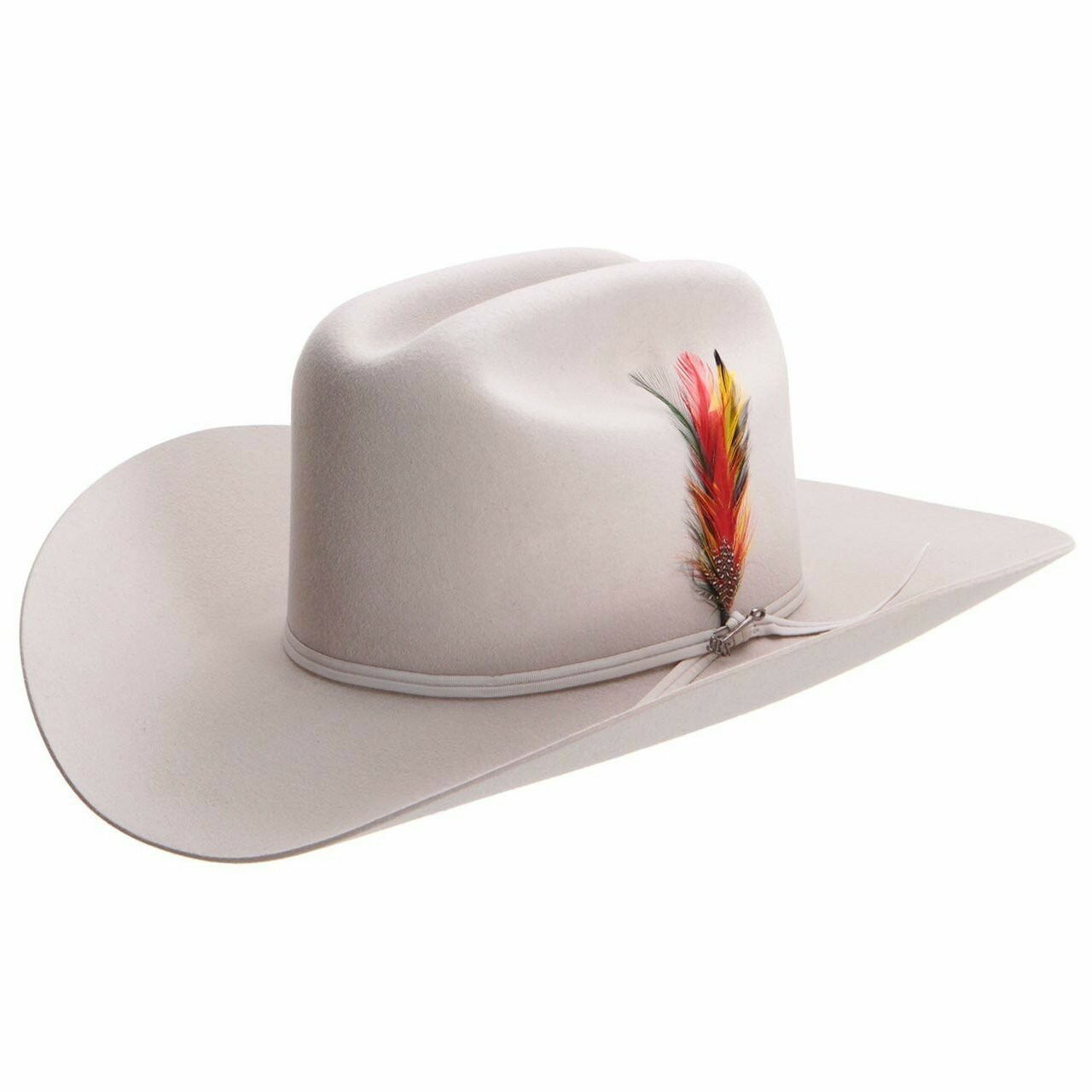 Stetson® Classic Cowboy Hat Feather ( 2 Feathers ) MULTICOLOR