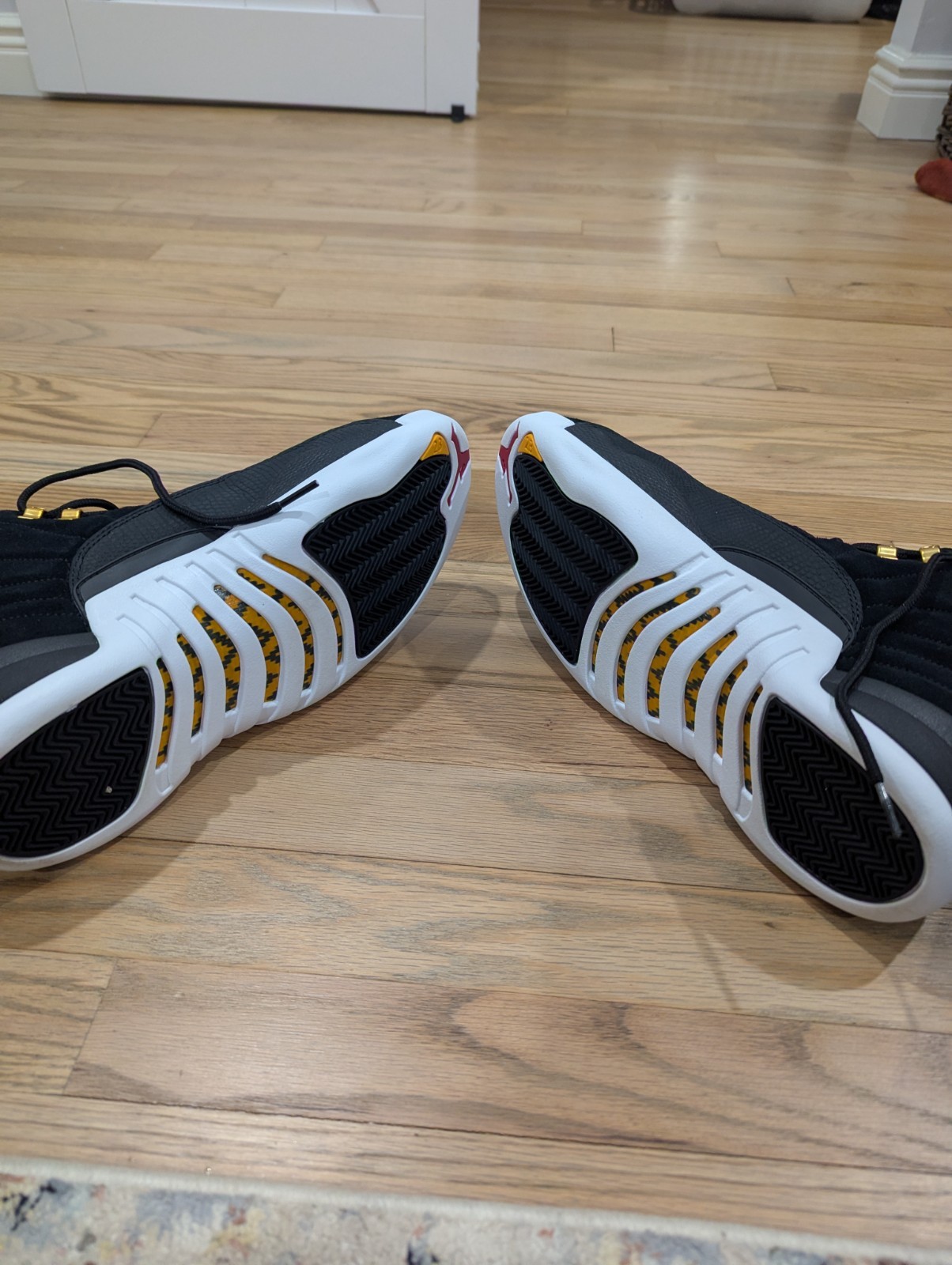 Jordan Retro 12 Reverse Taxis Size 10.5