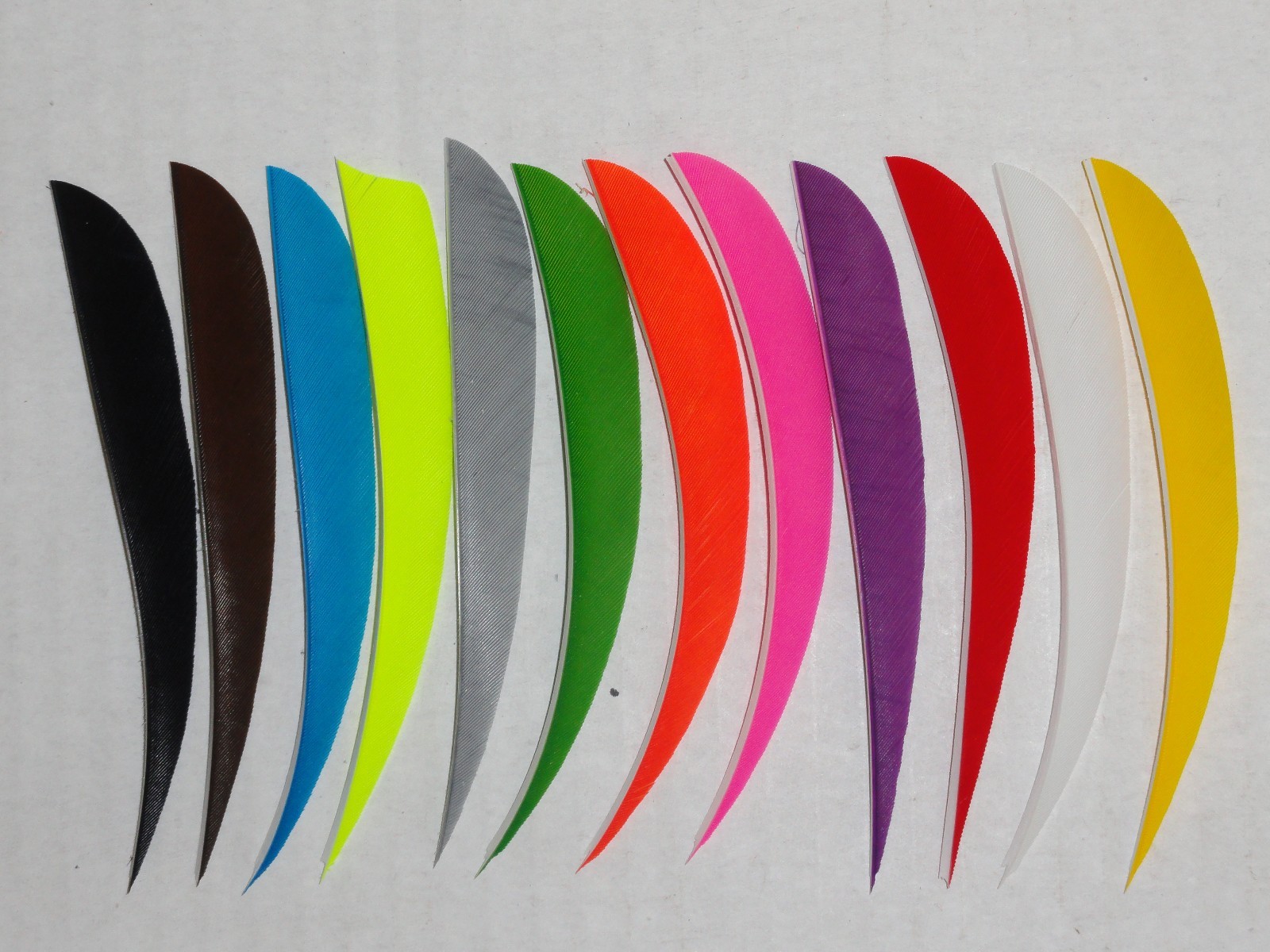 TrueFlight 5" Parabolic Feathers - 12 Pack, RW or LW