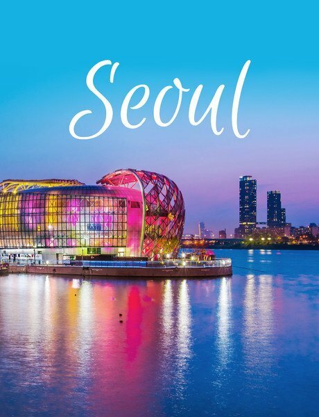 DEARSEOUL.COM - INVESTMENT GRADE PREMIUM DOMAIN NAME