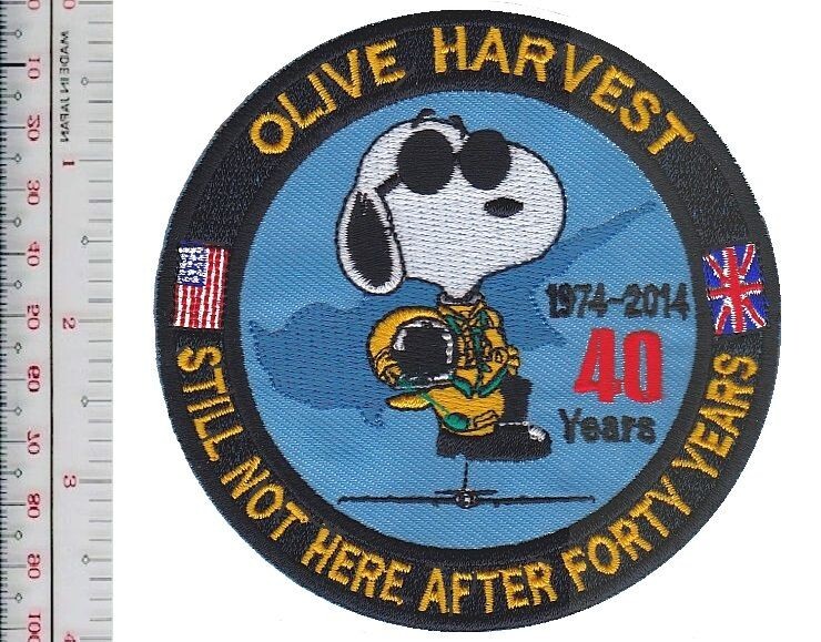 US Air Force 1st Expeditionary Recon Sq U 2 Olive Harvest 40 Years RAF NO TARIFF