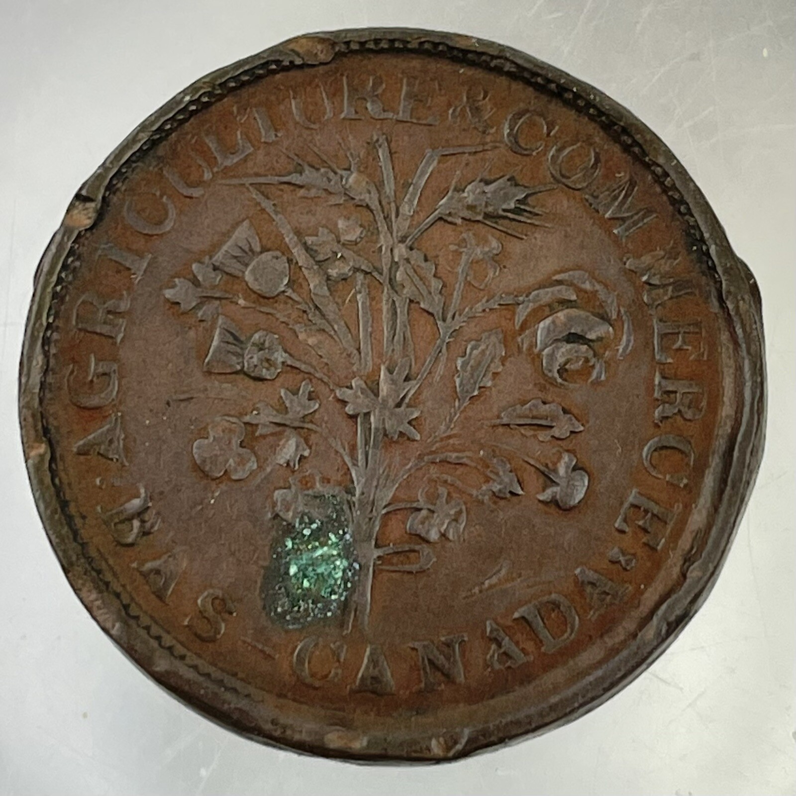 Canada Montreal Bas Half Penny Halfpenny Token Un Sou C1837