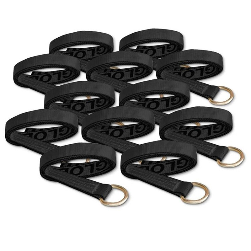 12 pc - 2" x 10' Lasso Strap with D Ring Tie Down Wheel Lift Tire Cargo Trailer
