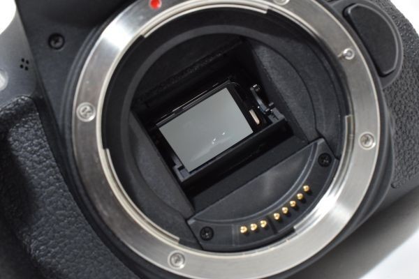CANON EOS 8000 D BODY 766310