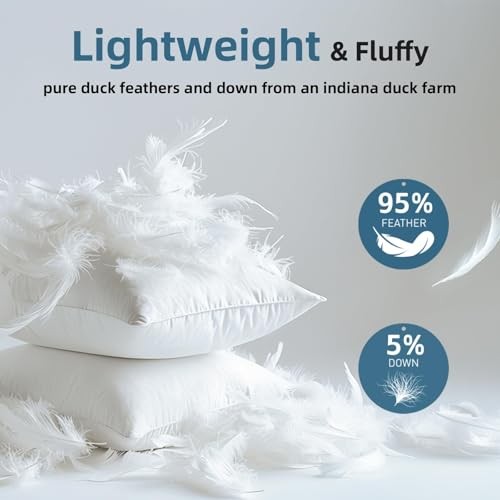 22x22Euro Pillow Inserts Set of 2, Premium Down Feather Pillows for 22x22(2pc)