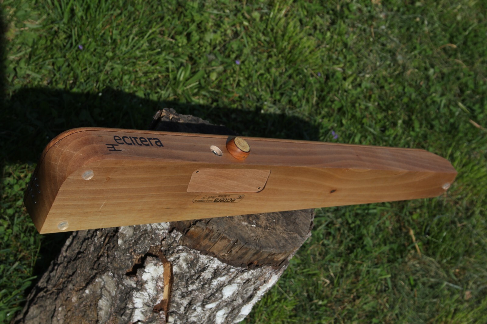eCitera Electric Zither