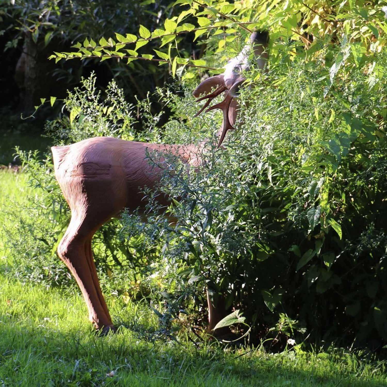 3D Animal LongLife Roebuck Grinding