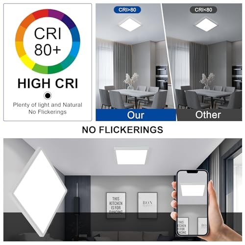 2 Pack 12 inch Flush Mount Ceiling Light, 6500K LED Ceiling 2 Pack (6500K)