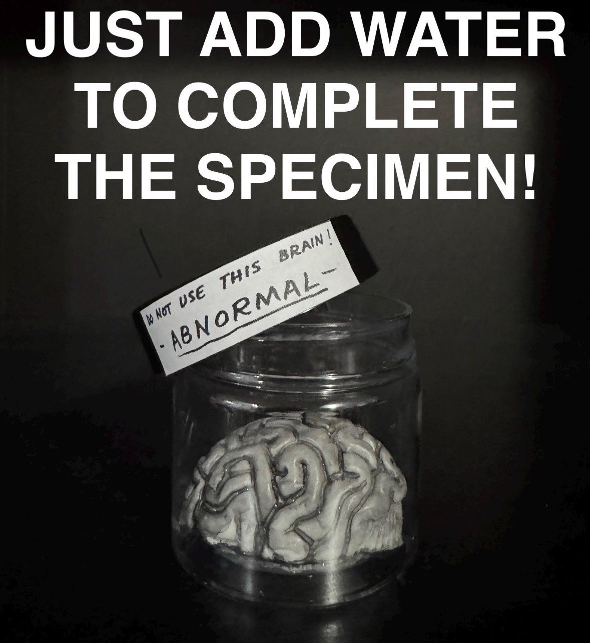 Abnormal Brain Black & White Mini Prop Replica Young Frankenstein